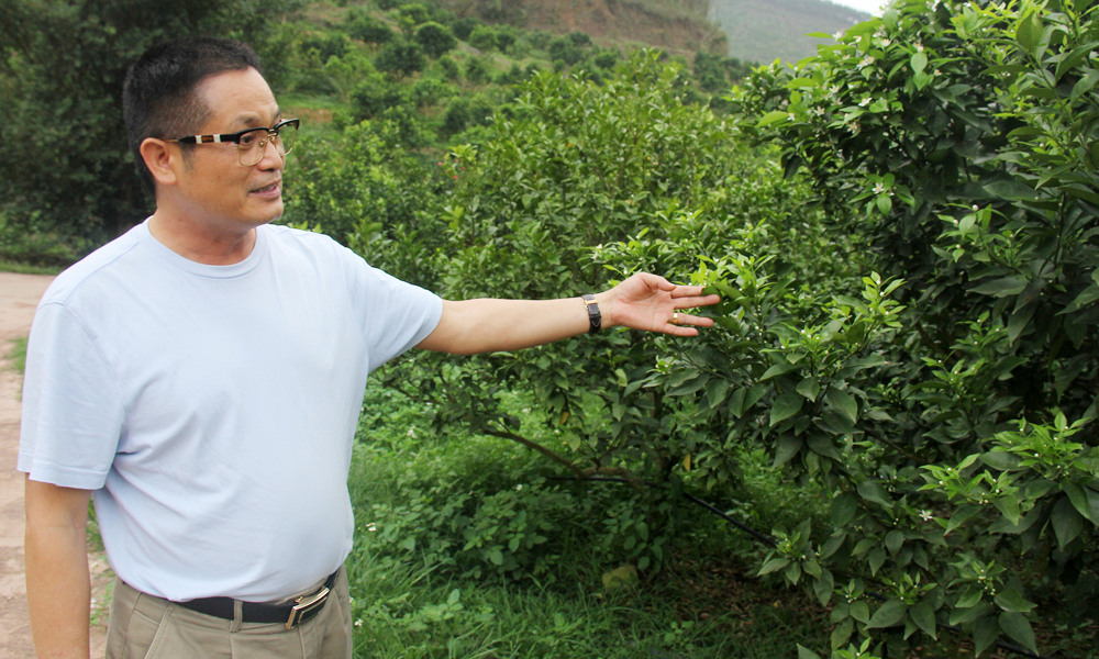 Ông Lê Minh Tuân.