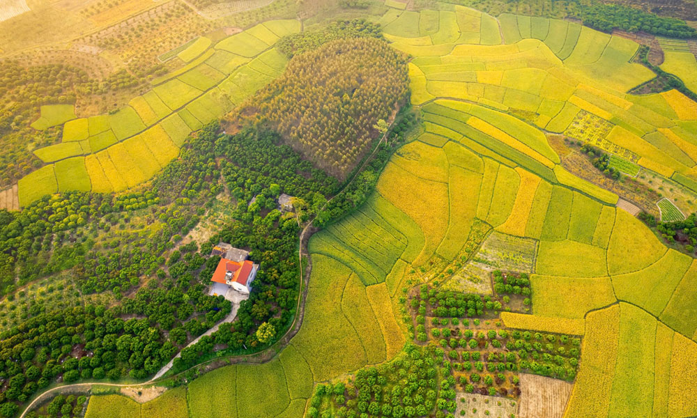 Hương xuân ở lại. Ảnh: Diêm Công Hải