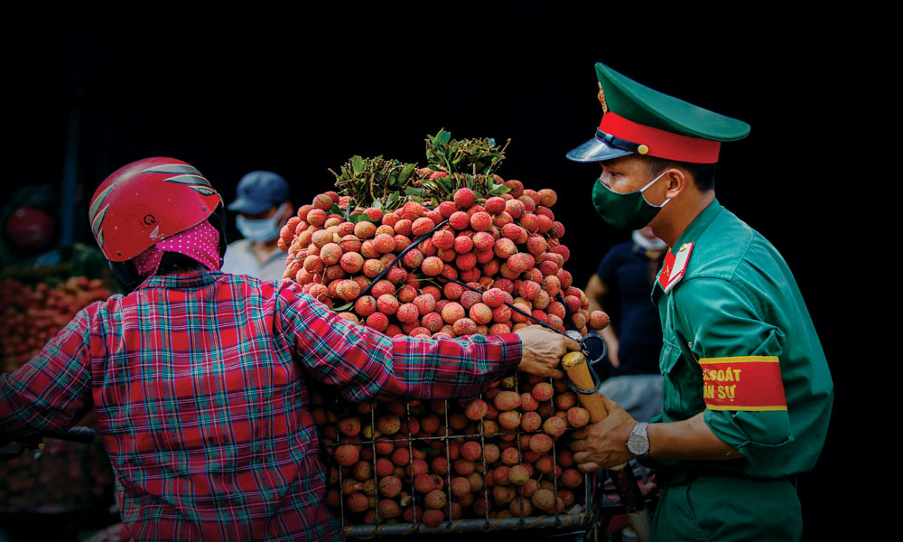 Trên cung đường vải thiều Lục Ngạn. Ảnh: Xuân Thắng